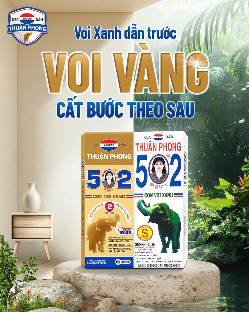 mua Keo Con Voi Vàng