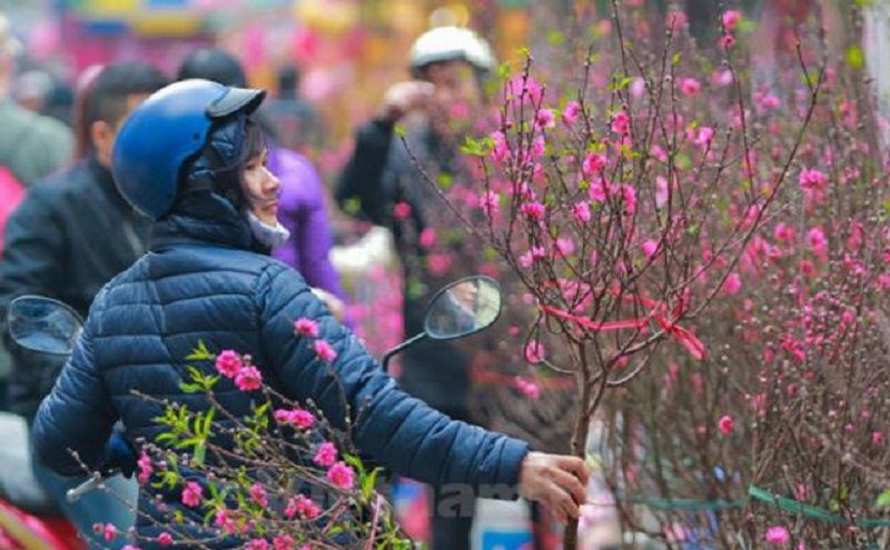 Thời tiết tết năm nay